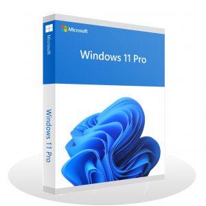 Microsoft Windows 11 Professional (Lifetime key)