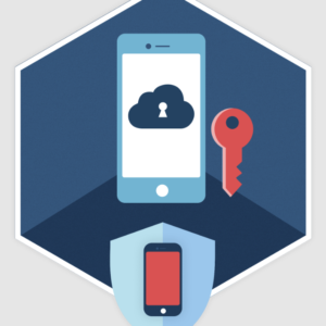 ElcomSoft Phone Breaker Forensic 2025 (Lifetime License)
